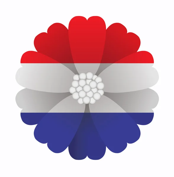 Flaggenblume Niederlande — Stockvektor