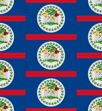 Belize bayrağı doku vektör