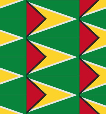 Guyana bayrak doku vektör