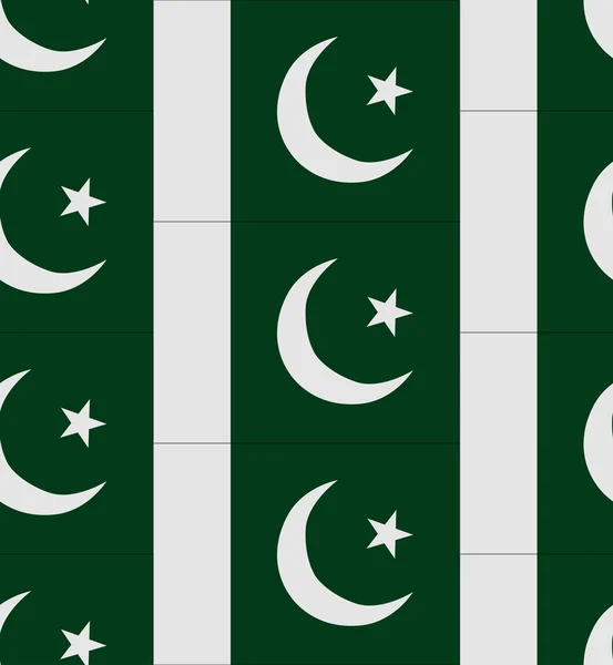 Bandera de Pakistán textura vector — Archivo Imágenes Vectoriales