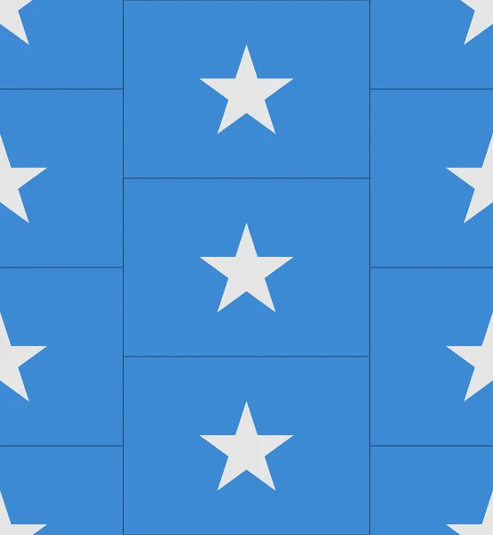 Somalia flag texture vektor — Stockvektor