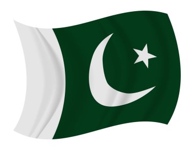 Pakistan bayrağı sallayarak vektör