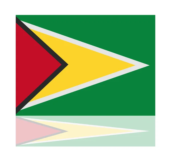 Bandera de reflexión guyana — Vector de stock