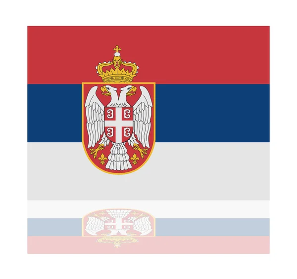 Reflection flag serbia — Stock Vector