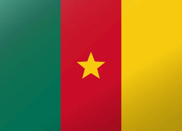 Bandiera di riflessione Camerun — Vettoriale Stock