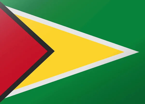 Bandeira de reflexão guiana — Vetor de Stock