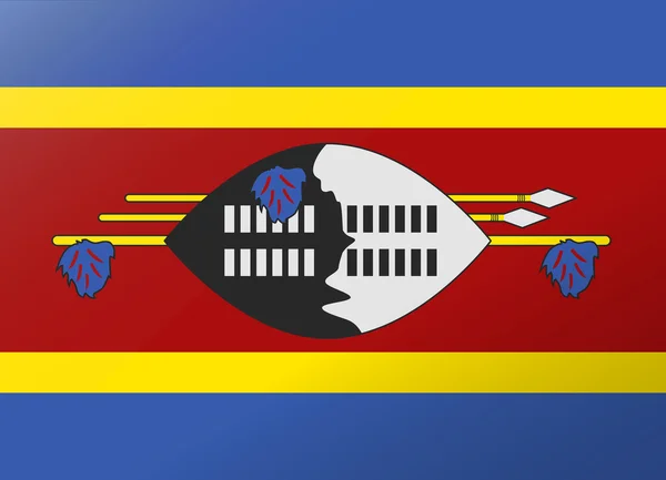 Reflection flag swaziland — Stock Vector