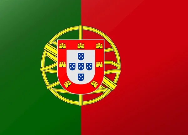 Reflectie vlag portugal — Stockvector