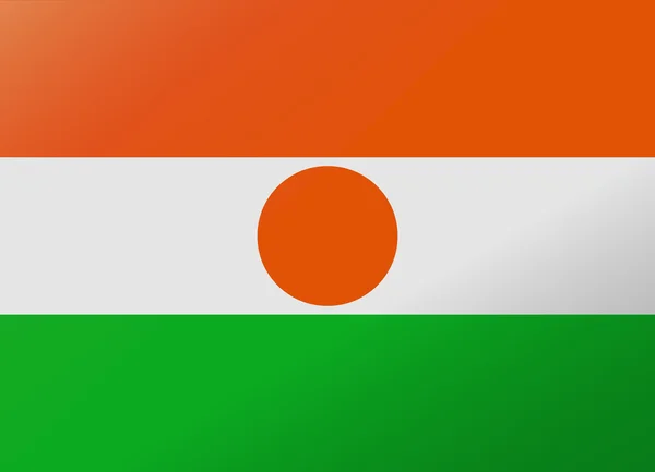 Spiegelung flag niger — Stockvektor