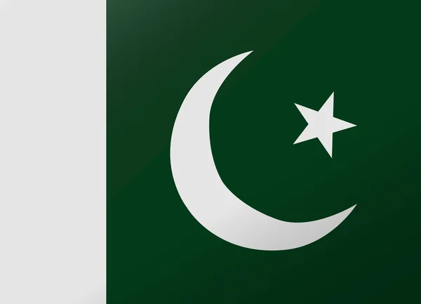 Reflexionsflagge Pakistan — Stockvektor