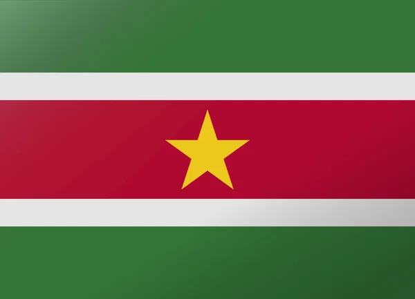 Reflectie vlag suriname — Stockvector