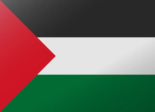 Reflectie vlag Palestina — Stockvector
