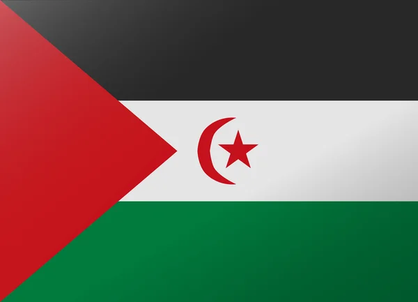 Reflection flag sahrawi — Stock Vector