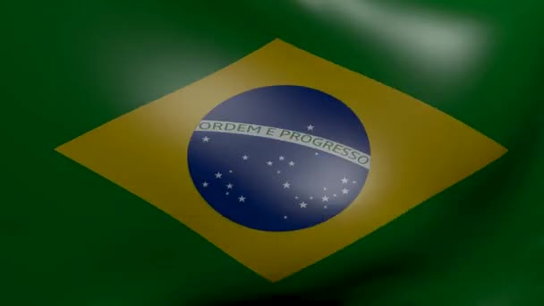 Brasil fuerte bandera del viento — Vídeos de Stock