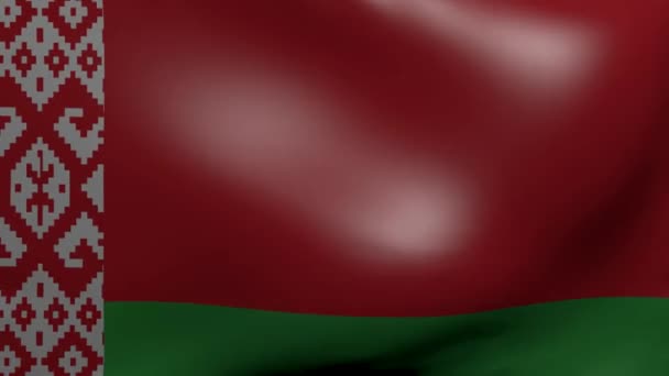 Прапор Білорусі сильний вітер — стокове відео