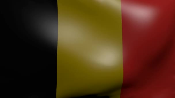 Belgium strong wind flag — Stock Video