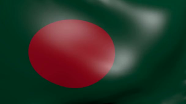 Bangladesh sterke wind vlag — Stockvideo