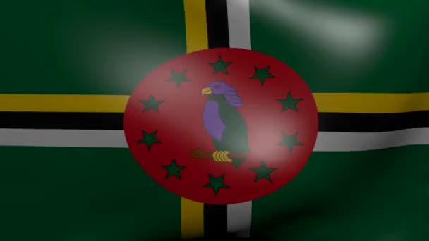 Dominica fuerte bandera del viento — Vídeos de Stock