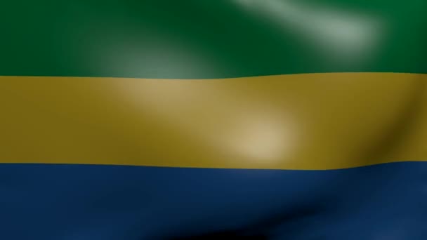 Gabon fort drapeau de vent — Video