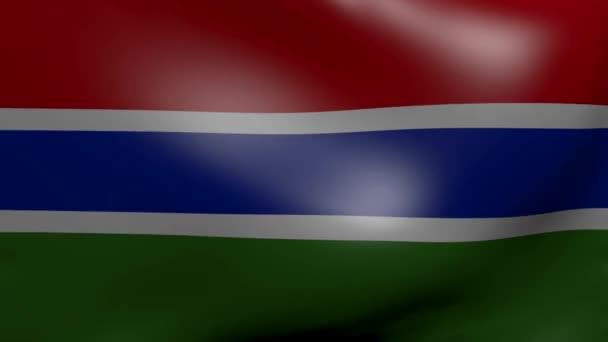 Прапор Гамбії сильний вітер — стокове відео