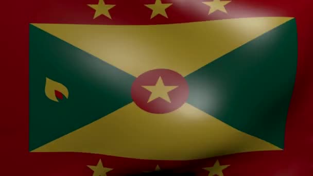 Grenada stark vind flagga — Stockvideo