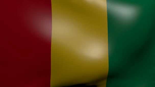 Сильный флаг Гвинеи — стоковое видео