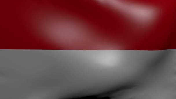 Silný vítr vlajka Indonésie — Stock video