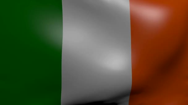 Irlanda fuerte bandera del viento — Vídeo de stock