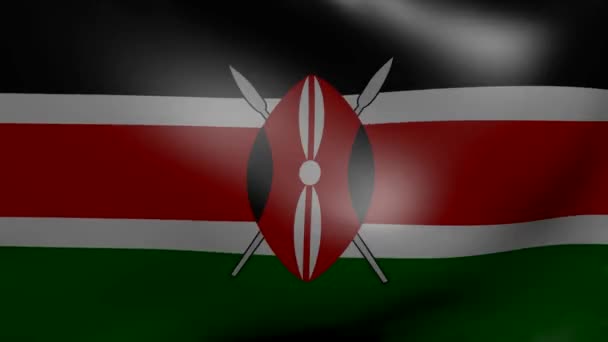 Quênia forte bandeira do vento — Vídeo de Stock