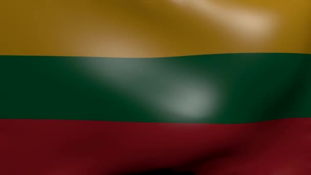 Lithuania strong wind flag — Stock Video