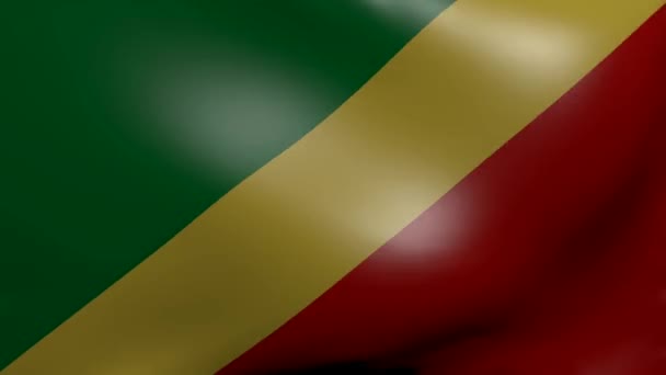 Vlag van Congo sterke wind — Stockvideo