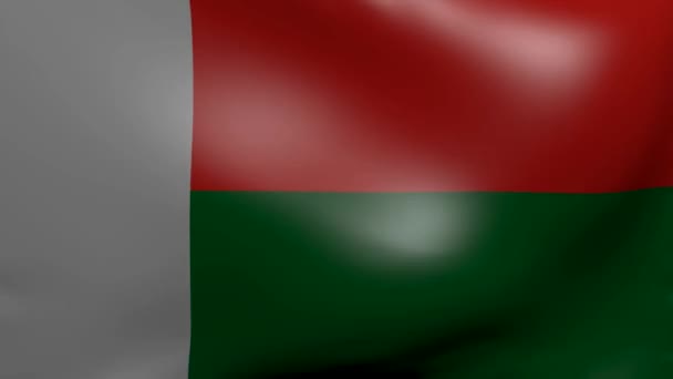 Madagascar fort drapeau du vent — Video