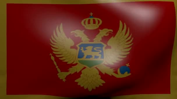 Montenegro fuerte bandera del viento — Vídeo de stock