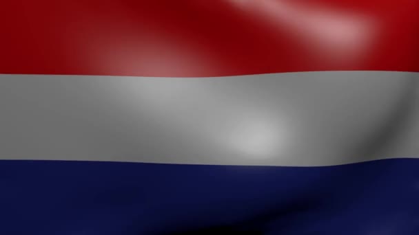 Netherlands strong wind flag — Stock Video