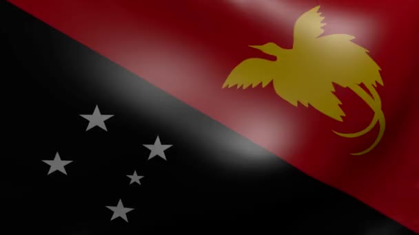 Nueva bandera de guinea fuerte viento — Vídeos de Stock