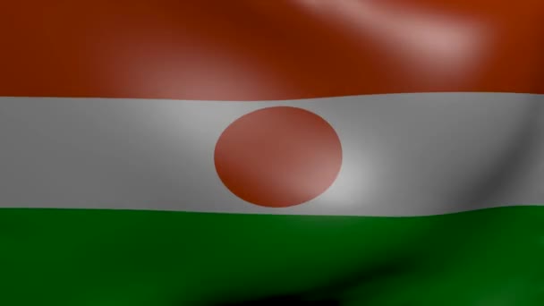 Niger stark vind flagga — Stockvideo