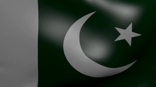 Pakistan strong wind flag — Stock Video