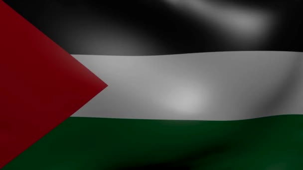 Palestine strong wind flag — Stock Video