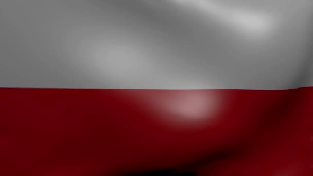 Pologne fort drapeau de vent — Video