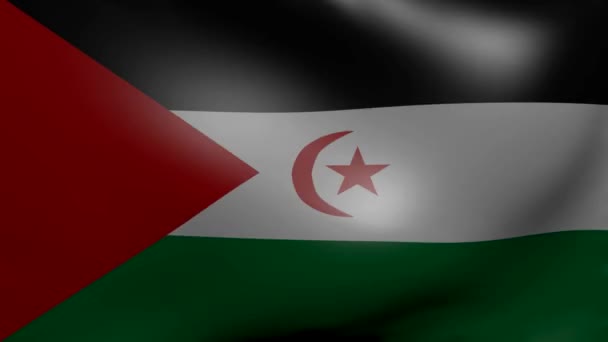 Sahrawi forte bandeira do vento — Vídeo de Stock