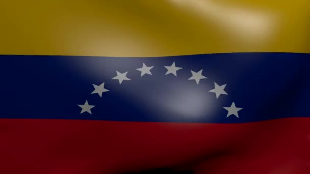 Venezuela fuerte bandera del viento — Vídeos de Stock