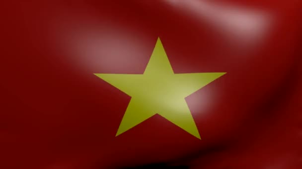 Vietnam strong wind flag — Stock Video