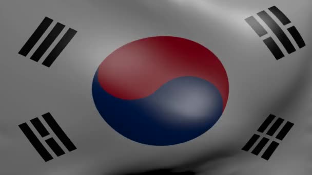 Corea del Sur fuerte bandera del viento — Vídeo de stock