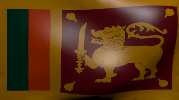 Ισχυρό άνεμο σημαία της Σρι Λάνκα — Αρχείο Βίντεο