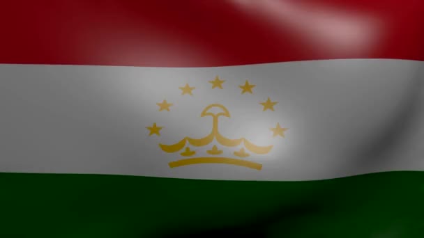 Tajiquistão forte bandeira do vento — Vídeo de Stock
