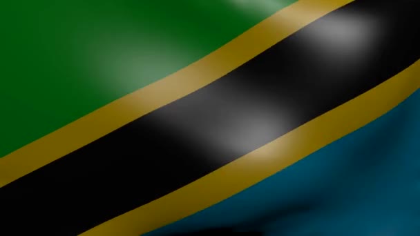 Vlag van Tanzania sterke wind — Stockvideo