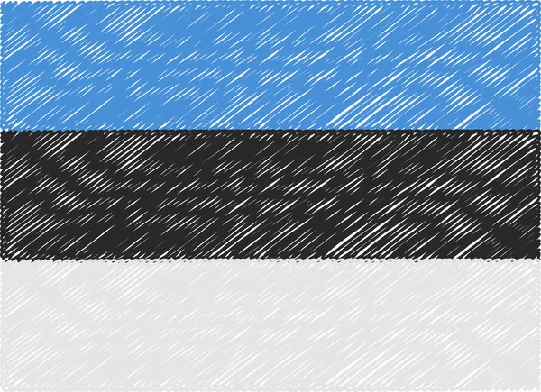 Estonia bandeira bordada ziguezague — Vetor de Stock