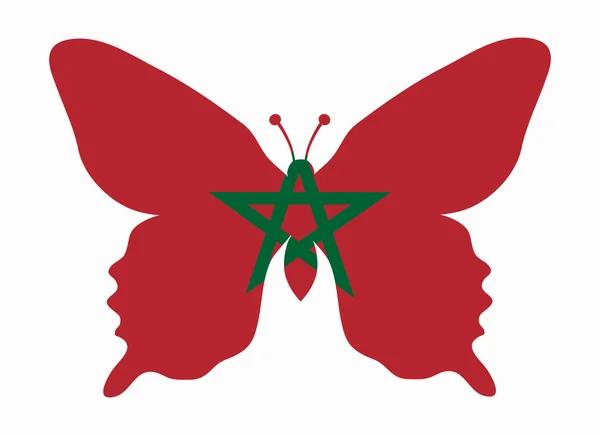 Morocco flag butterfly — Stock Vector