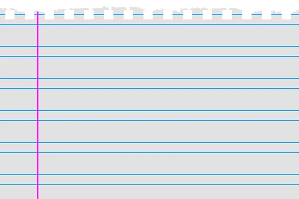 Zerrissenes Papier mit doppelten Linien oben — Stockvektor