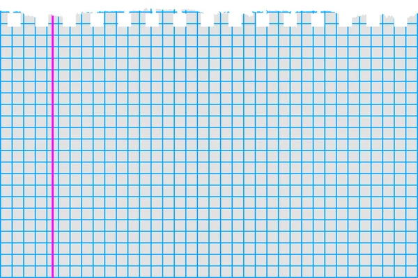 Carta millimetrata strappata sopra — Vettoriale Stock